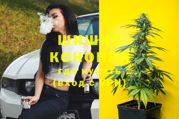 стафф Алзамай
