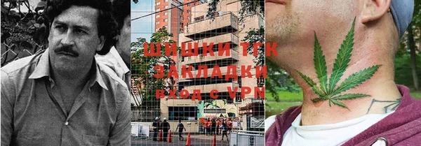 ГАЛЛЮЦИНОГЕННЫЕ ГРИБЫ Алексин