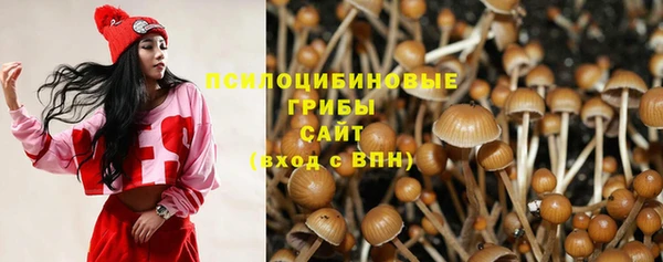 ГАЛЛЮЦИНОГЕННЫЕ ГРИБЫ Алексин